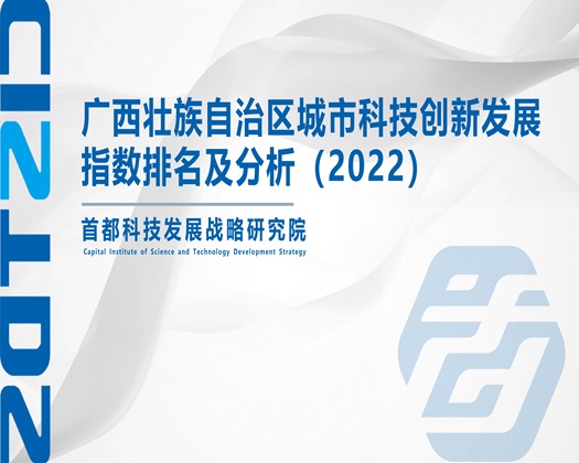 美女啪啪视频【成果发布】广西壮族自治区城市科技创新发展指数排名及分析（2022）